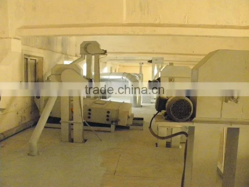 corn seed processing plant