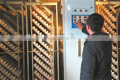 Automatic Egg Hatching Machine