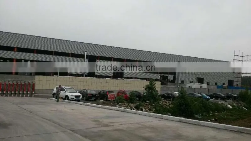 steel frame building construction projects