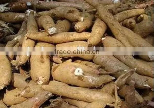 we supply big capacity cassava peeling machine +8618637188608