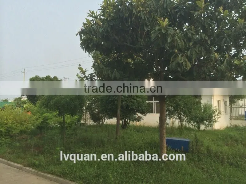 membrane diffuser,water treatment bubble diffuser