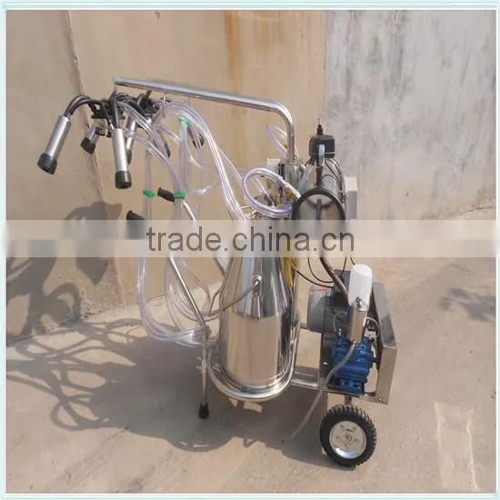 Cow Milking Equipment