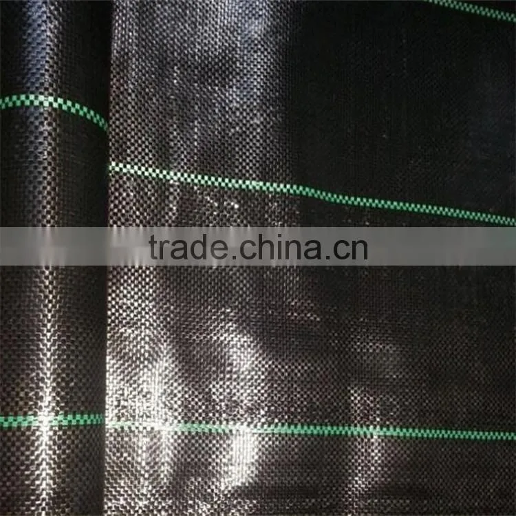 Environmental biodegradable ground cover