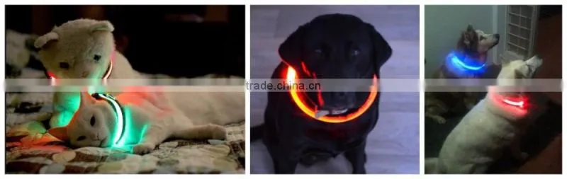 Night Safety Waterproof Nylon Adjustable LED Dog Collar