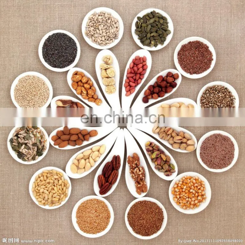 Big capacity elevator parts design calculation structure grain bucket conveyor