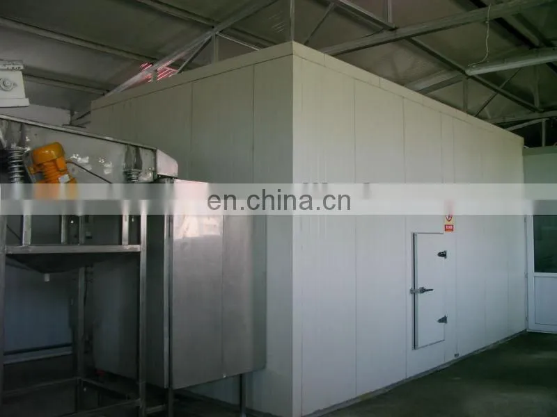 okra processing machine frozen vegetables production line
