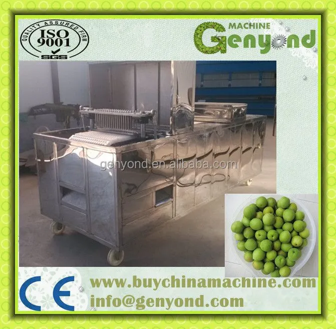 Olives Nuclear and Seed Remove Machine / Olives Pitting and Pitter Machine / Olives Stone Extractor