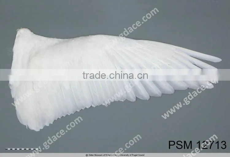 Fashion Angel wing swan wing feather for catwalks show