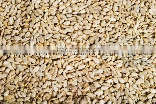 Chinese Sunflower seeds 5009