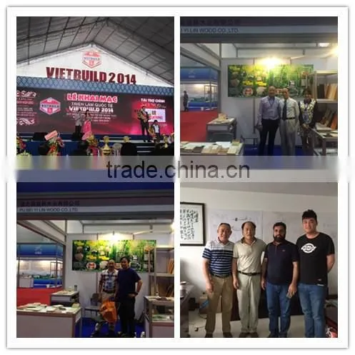 Shuttering Plywood/Waterproof Plywood/Construction Plywood