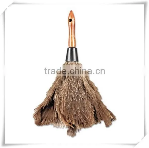ostrich feather duster for house cleaning
