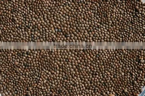 Low price high quality corn /wheat flour mill machinery