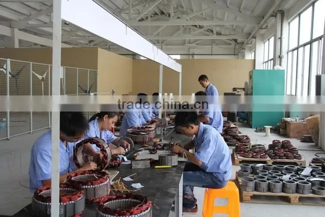 ac 3kw permanent magnet alternator