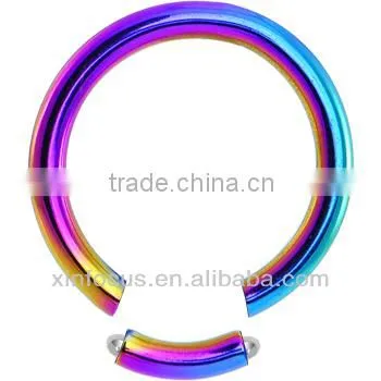 12 Gauge Rainbow Anodized Titanium Segment Ring_ BCR _Body JewelryD Rainbow