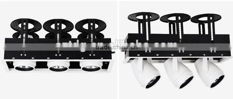 beam angle 15 degree 25 degree COB Spot ligt 15w 20w 40w 60w one/Two/Three Heads(TongDa)