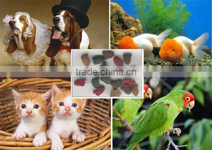 New Design and Hot Selling Fish Feed Making Machine For Sale