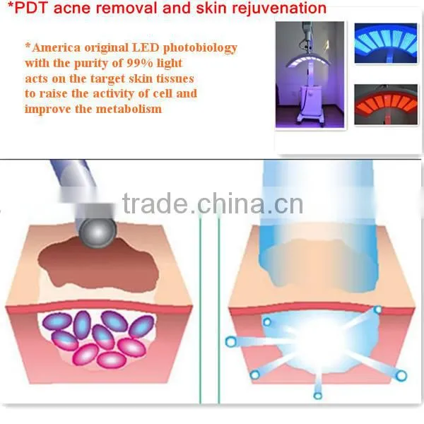 Professional Skin Care equipment bio light led