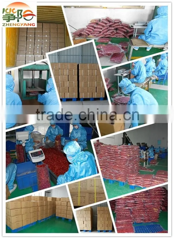 china manufacturer supply red hot chilli powder 40-60 mesh chilli flakes