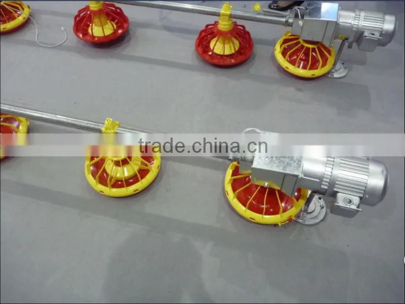 poultry feeding system