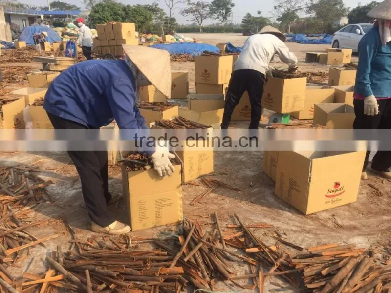 Vietnam Cassia Split best quality with fasten loading & attractive price in 2017