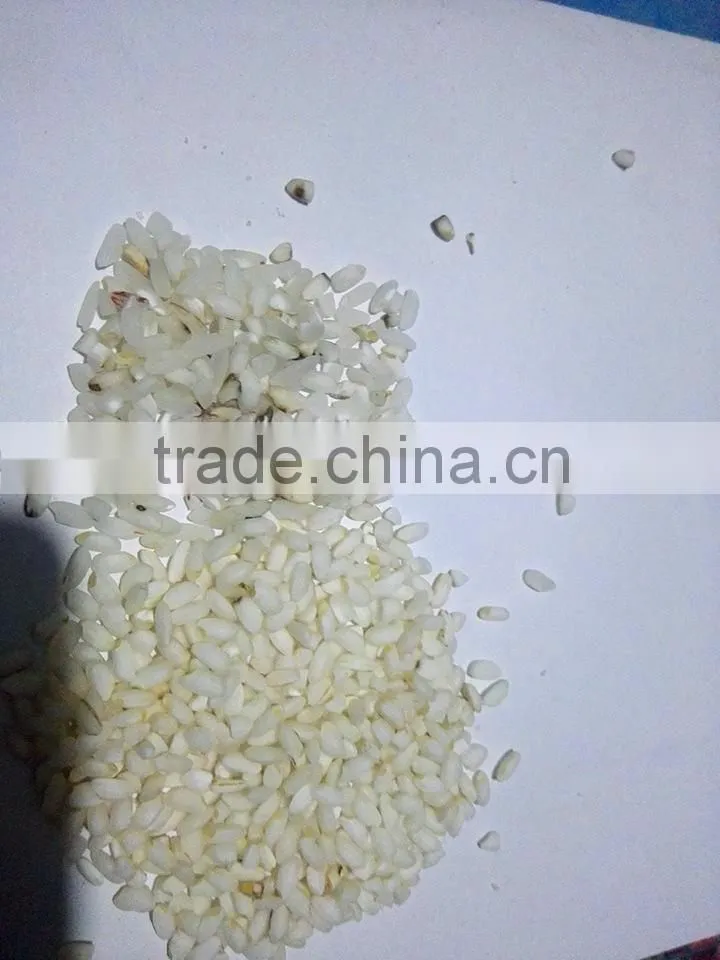 Rice Color Sorter Machine for Myanmar Rice