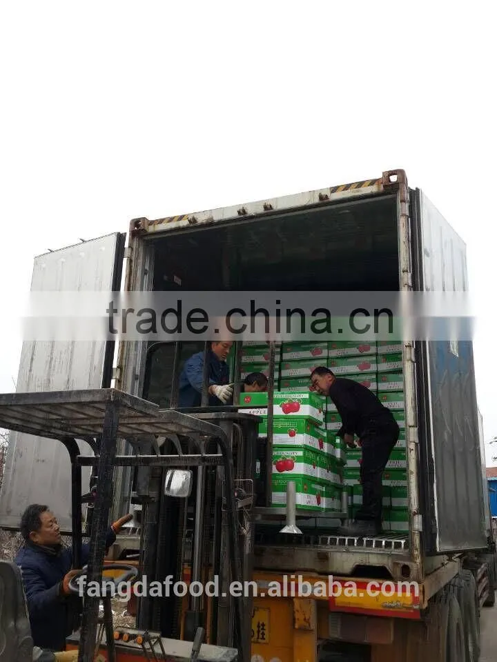 paper bagged qinguan apple