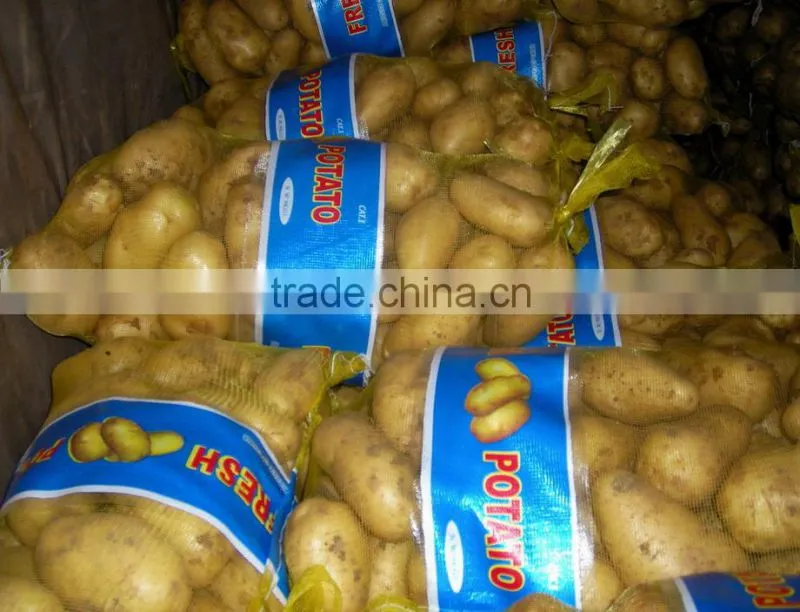China fresh potatoes in hot sailing