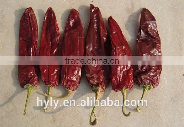 Dried American Red Chilli