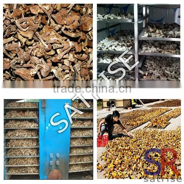 enoki mushroom cultivation equipment/white mushroom cultivation machinery