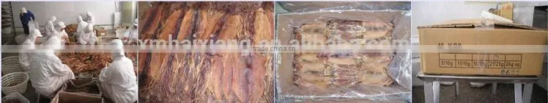export dried squid supplier