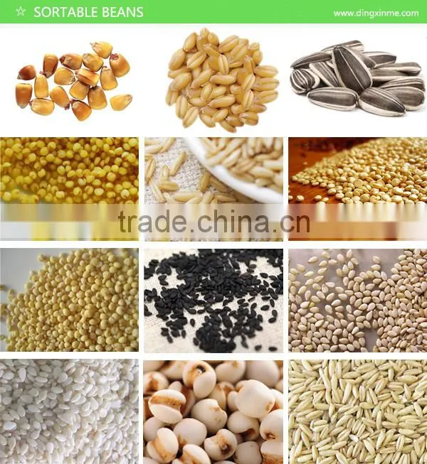 Sunflower Seeds Color Sorter/Color Selector/Color Sorting Machine/Colour Sorter