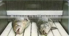 Full-automatic brine injector for meat processing machine(OR-48/60/80/108/180) / Meat Injector