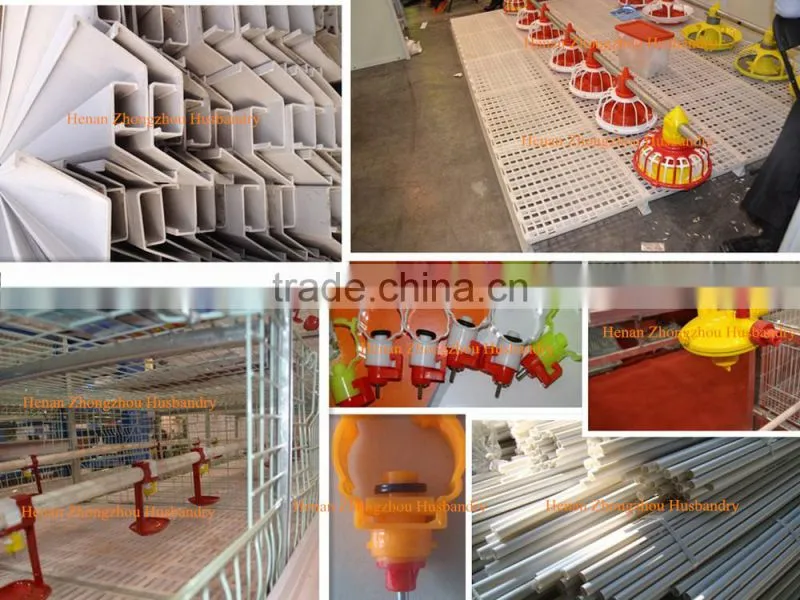 New Design Broiler Cage System