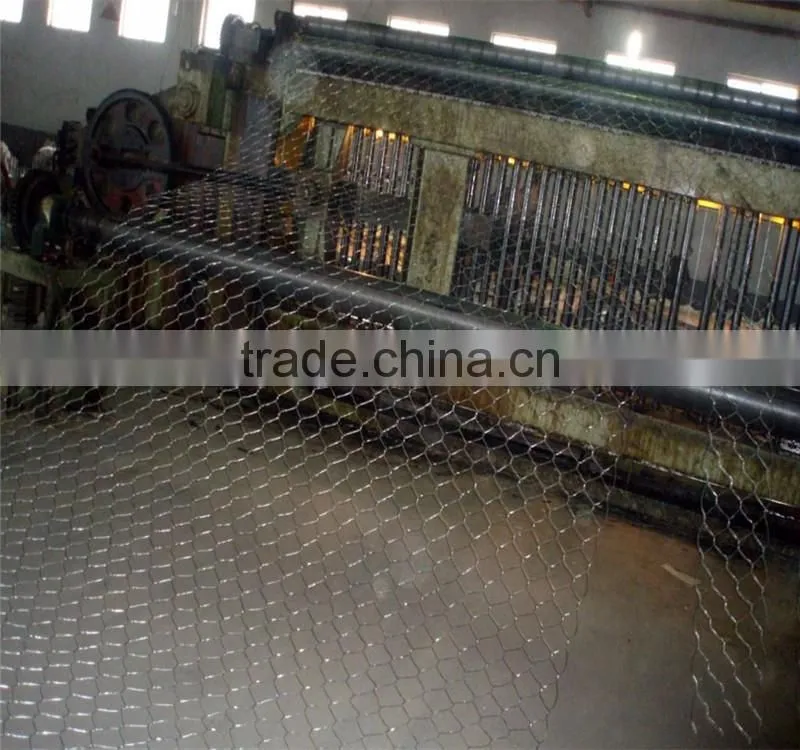 Galvanized Welded Gabion Cage/Welded Gabion Basket/Welded Gabion Mesh (Factory)