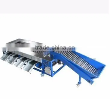 Garlic /Vegetable and Fruit Cleaning and Grading/Sorting machine