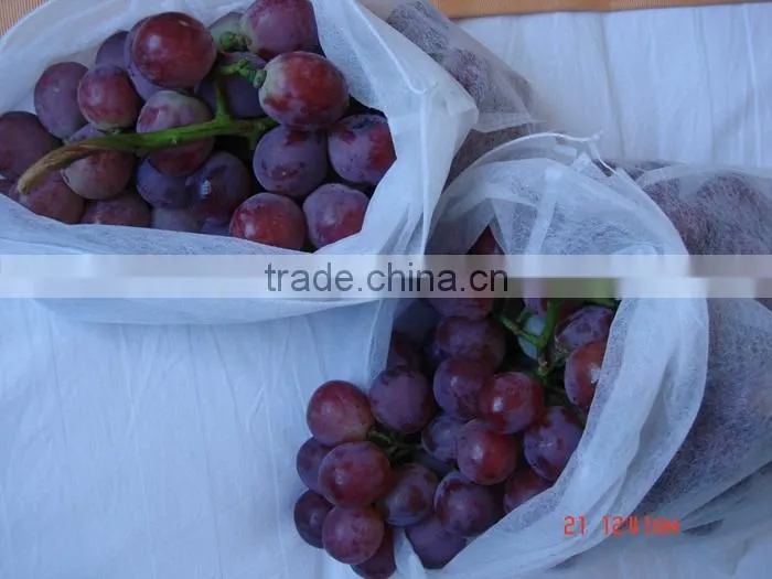 3 Years Warranty Best Sale Banana Fruit Bag / Frost Cover