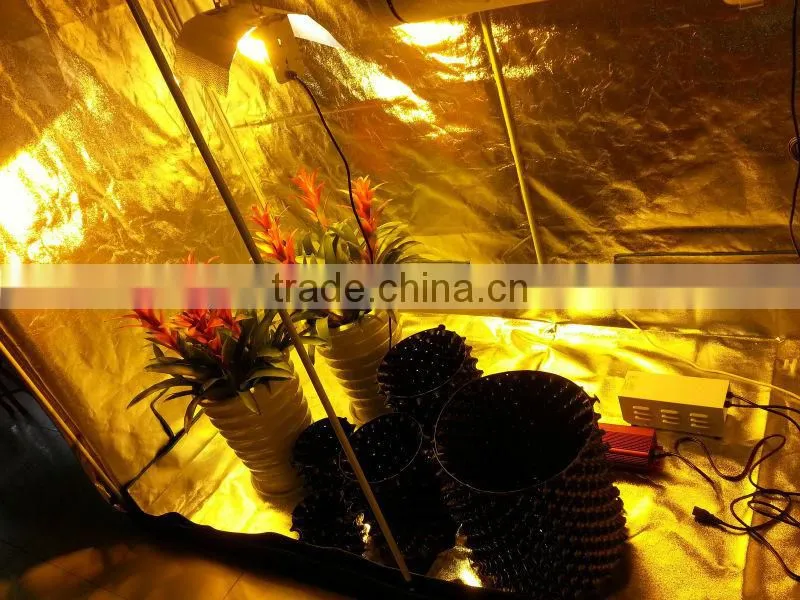 Hydroponics Growing system/Hydroponics system