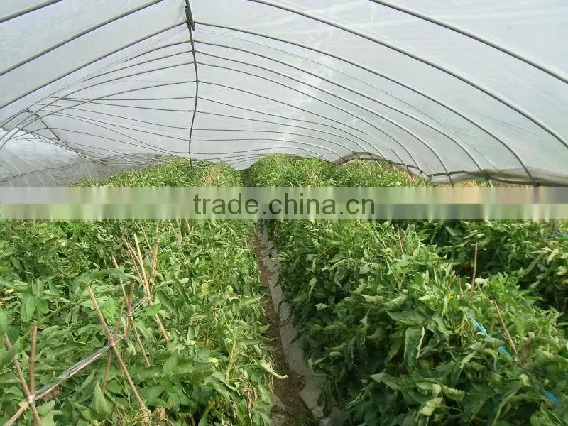 Low cost PE plastic transparent low tunnel film for garden
