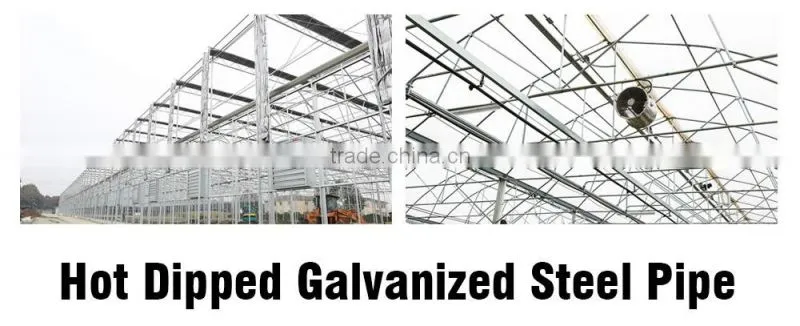 high quality geodesic dome greenhouse for sale