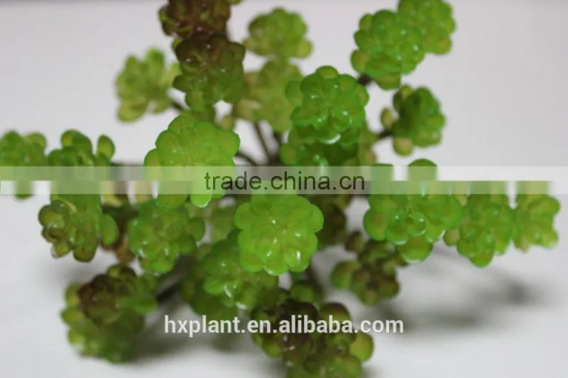 artificial succulent plants making