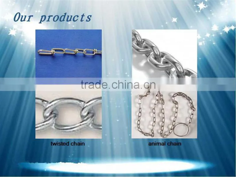 Hot Selling High Quality Galvanized Pet Chain
