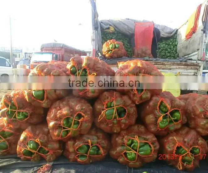Packing Pe Garlic Mesh Bag