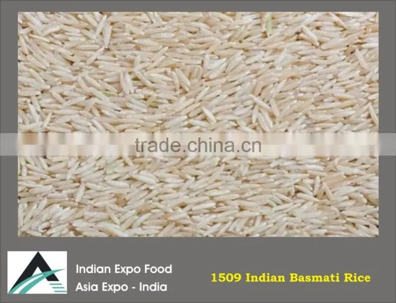 Top Quality Basmati Rice Aroma & Long rice