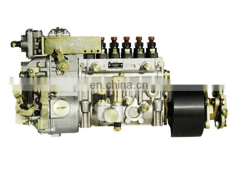 Injection Pump 10403166059,10 403 166 059 for Xichai CK3-01 Engine