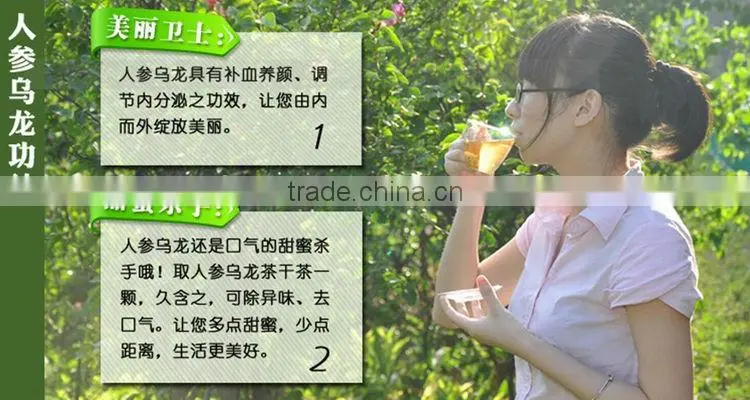 Slimming tea,Famous Ginseng Oolong Tea Taiwan high mountain natural tea