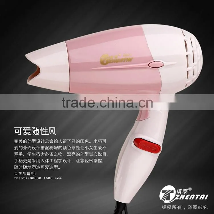 Xmas Gift Hair Dryer