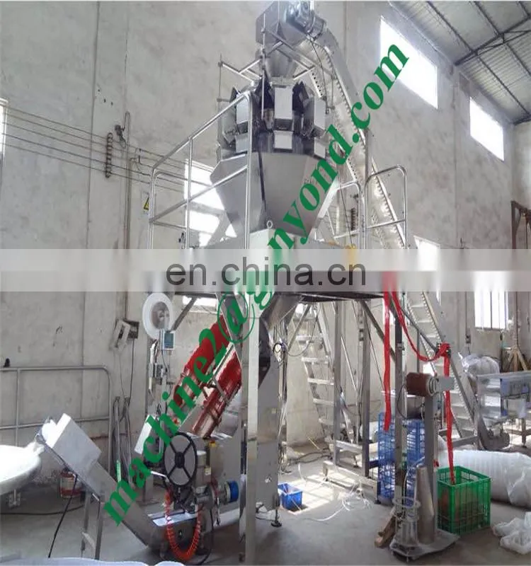 Industry Netting Onions Auto Clipping Machine