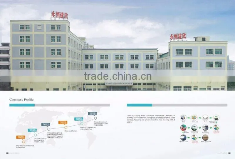 Precision injection mould for home appliances