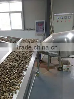 market prices for mushroom