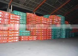 Linyi Zhengda Wood Co., Ltd. company overview - view 3